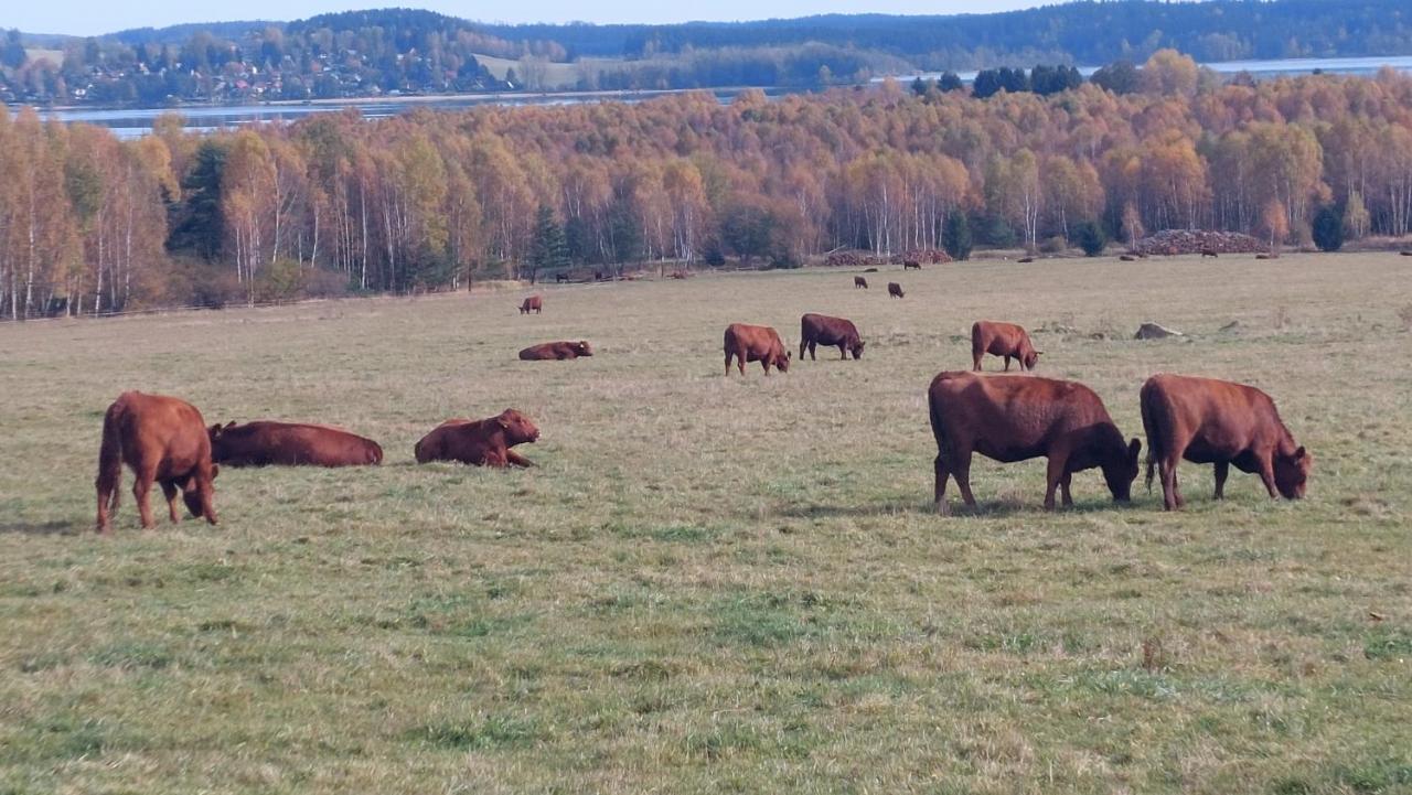 Apartmany Jura Nová Pec Zewnętrze zdjęcie